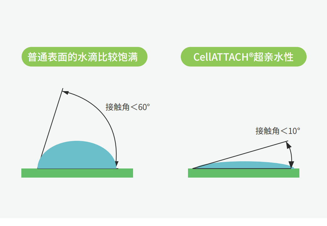 独特的超亲水表面处理技术，能为细胞提供更好的吸附性，促进细胞快速贴壁生长，提高产量
